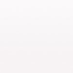 Saving Lives: Animal House Shelter And Downtown Pet Supply