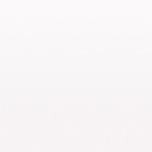 Saving Lives: Animal House Shelter And Downtown Pet Supply